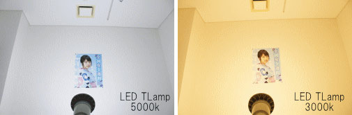 2種類のラインナップ