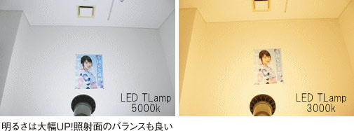 2種類のラインナップ